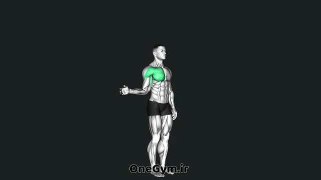 چرخش داخلی و خارجی سرشانه