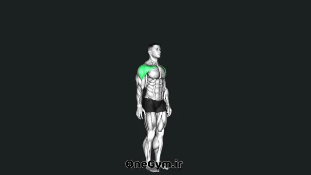 نشر جانب بدون وزنه