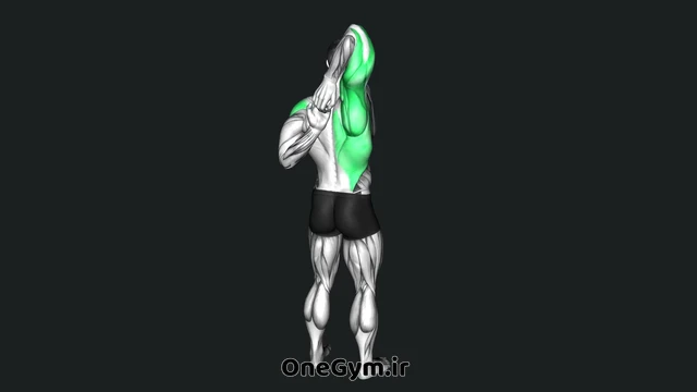 کشش سرشانه با قلاب کردن دستها از پشت