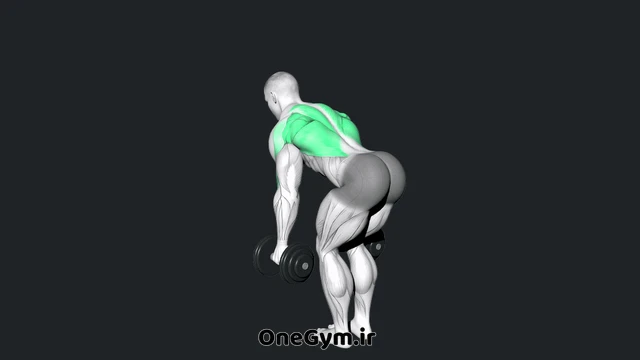 زیر بغل دمبل خم