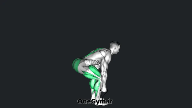 ددلیفت با کش
