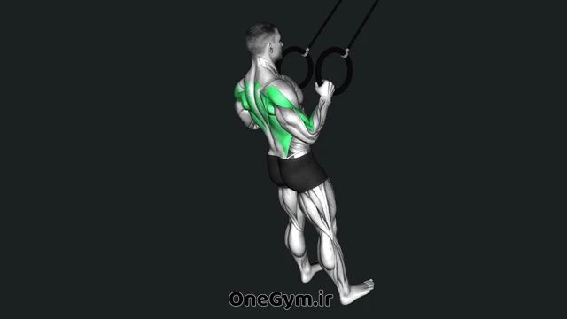 قایقی با رینگ