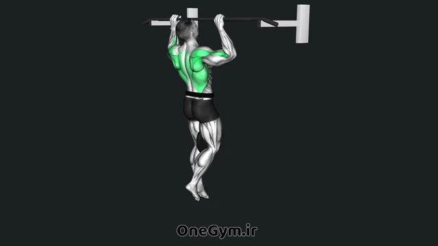 بارفیکس وزنهدار