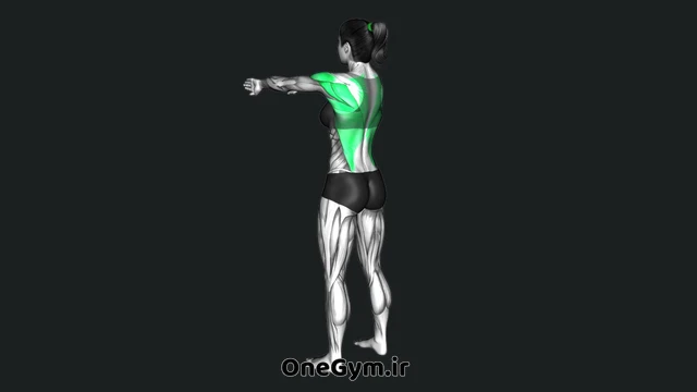 زیر بغل پارویی ایستاده با وزن بدن و چرخش کف دست