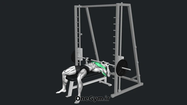 پرس سینه با اسمیت