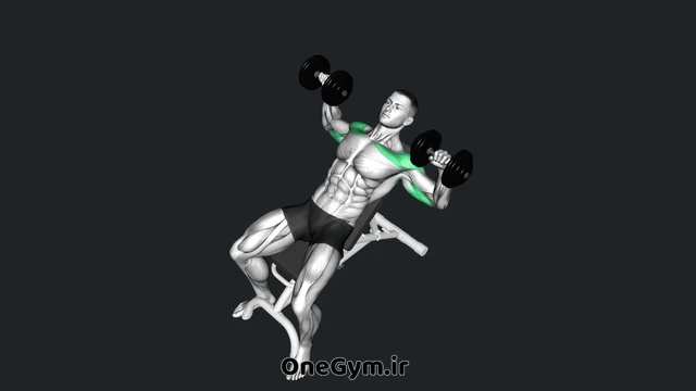 پرس بالا سینه دمبل