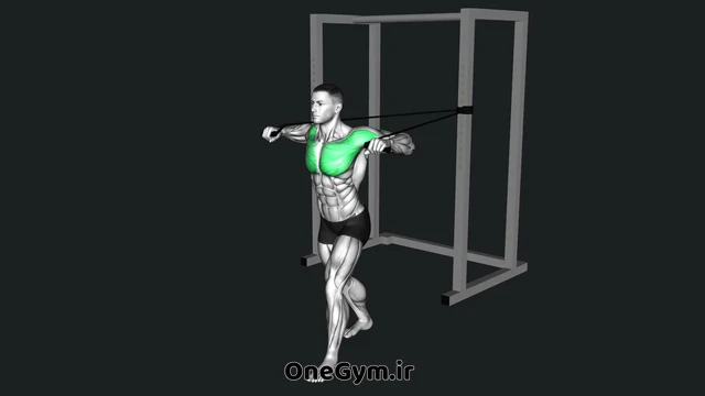 پرس سینه ایستاده با کش