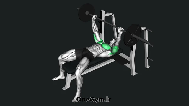 پرس سینه هالتر با مکث