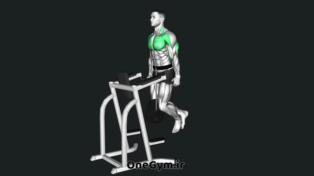 پارالل با وزنه