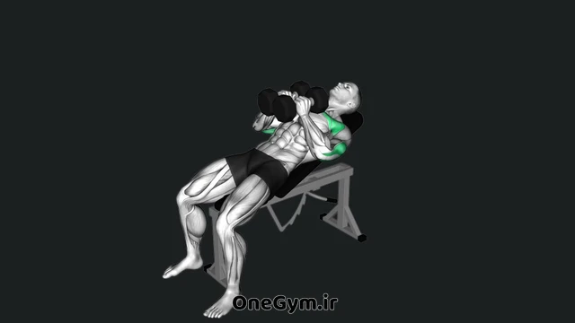 پرس بالا سینه دمبل دست جمع