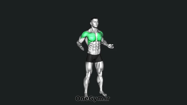 پرس سینه ایستاده با فشار کف دستها