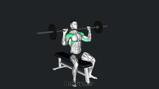 پرس سرشانه نشسته با هالتر