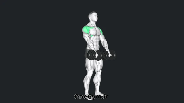 نشر از جلو دمبل