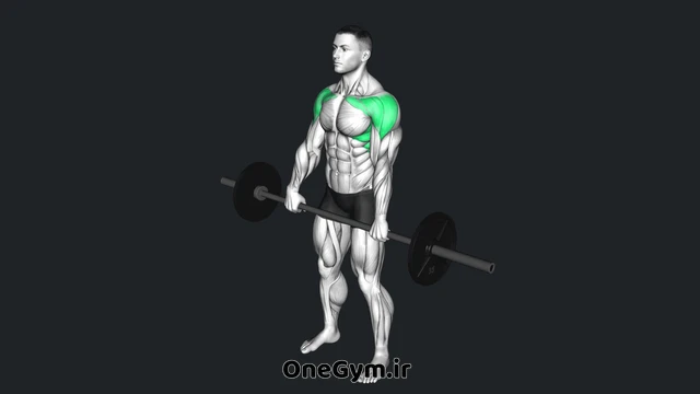نشر جلو هالتر