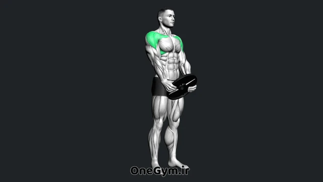 نشر جلو با صفحه وزنه