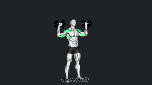 پرس سرشانه دمبل متناوب ایستاده