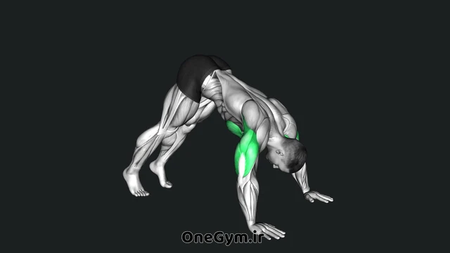 پرس سرشانه معکوس روی زمین