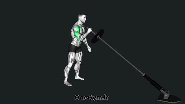 پرس سرشانه لندماین تک دست