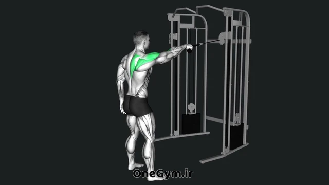 فیس پول تک دست با سیمکش