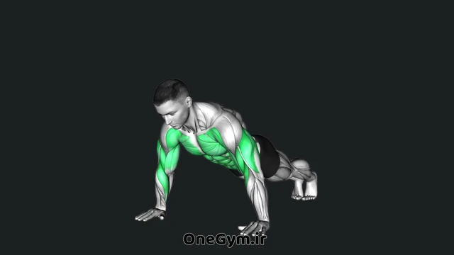 پلانک لمس سرشانه