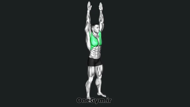جمع کردن آرنج جلوی سینه و باز کردن دست بالای سر