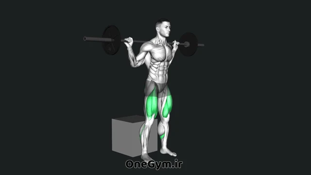باکس اسکوات با هالتر