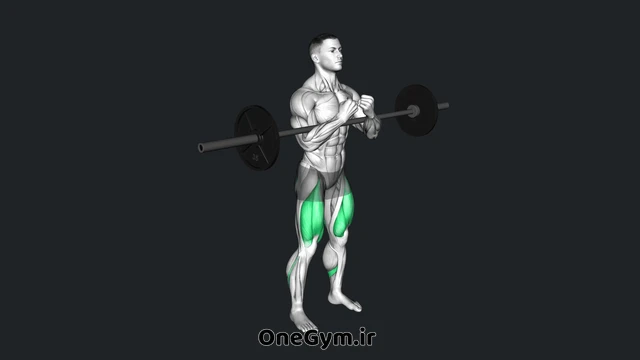 اسکوات زرچر