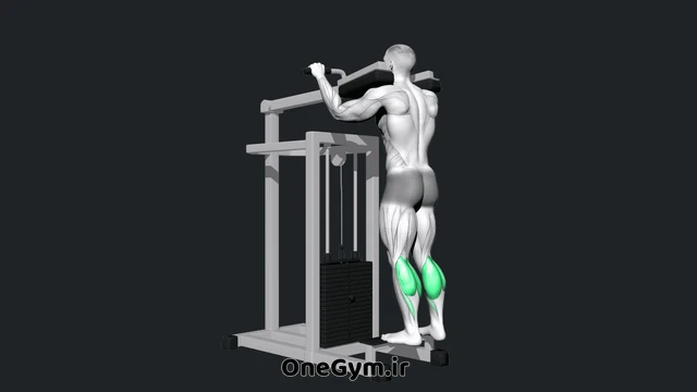 دستگاه ساق پا ایستاده