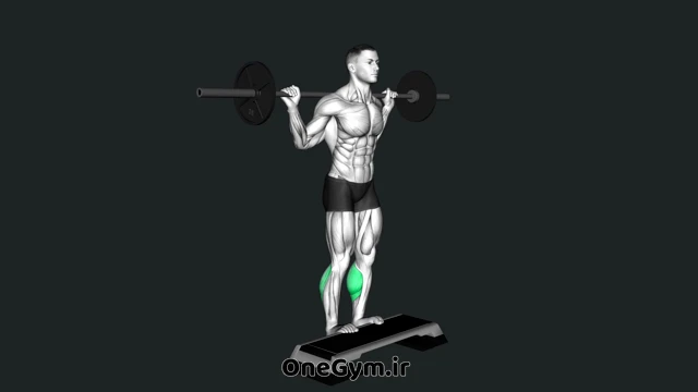 ساق پا ایستاده با هالتر