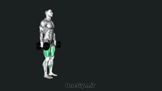 لانگز متحرک با دمبل