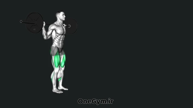 لانگز قدم زدن با هالتر