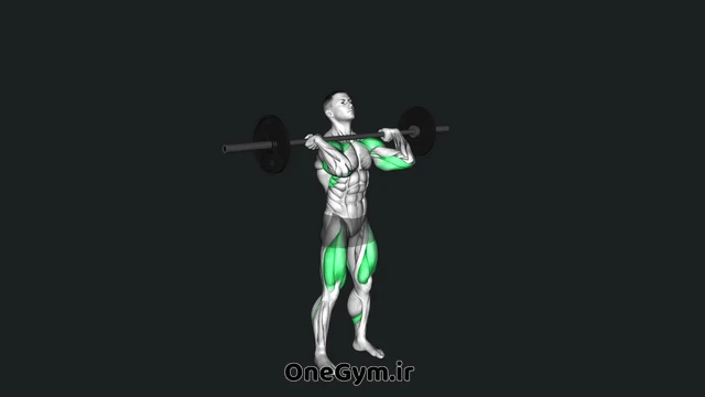 تراستر هالتر