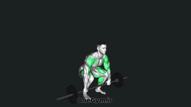 ماسل کلین با هالتر