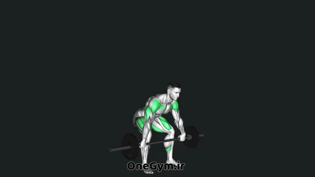 پاور اسنچ با هالتر