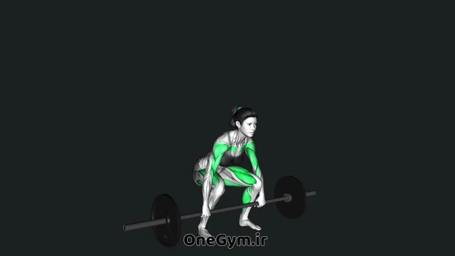 پاور کلین با هالتر