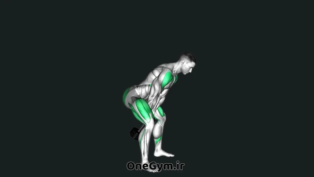 سوئینگ دمبل