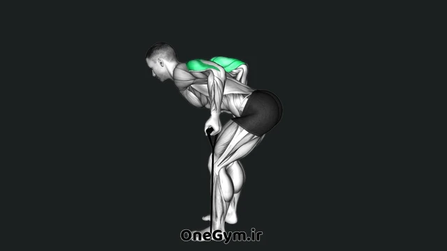 پشت سرشانه خم با کش