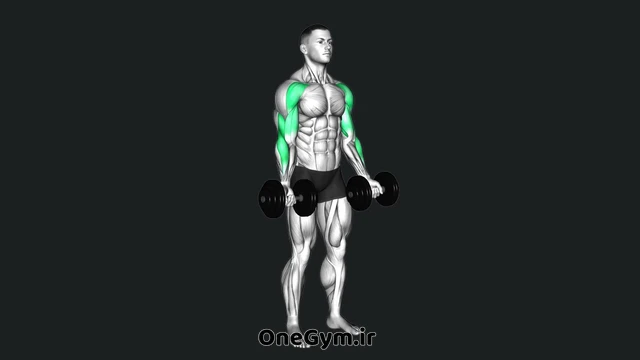 جلو بازو درگ با دمبل