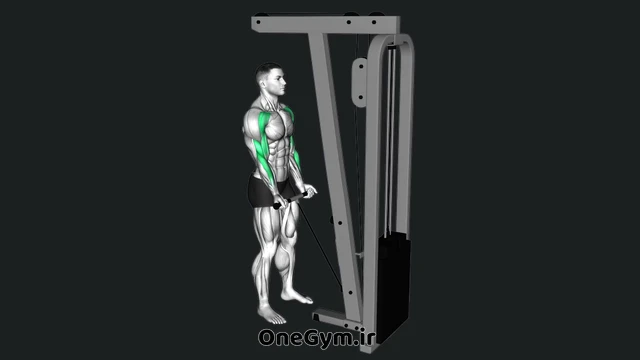 جلو بازو سیم‌کش درگ