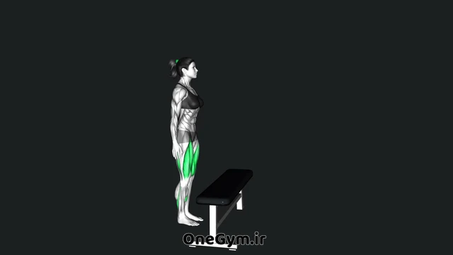 استپ آپ بلند