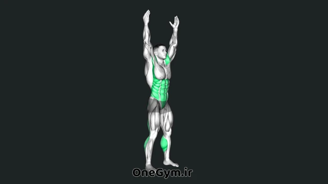 کشش پنجه پا ایستاده